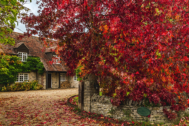 content autumnal sales 25