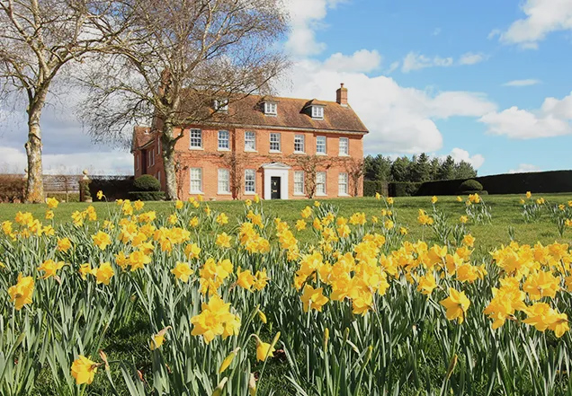 property boom spring 2025