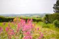 Orwell, Lyth Bank, Shrewsbury, Shropshire, SY3 0BE